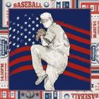 American Baseball Player 1