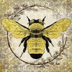 Honey Bee 1