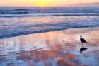 Venice Beach Sunset