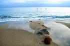 Zuma Beach, Ca