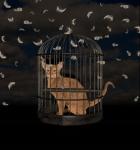 BirdCaged Cat