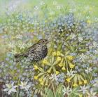Baby Blackbird and Forget-me-nots