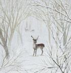 Deer in Midwinter