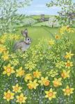 Easter Rabbit and Daffodils