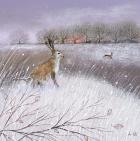 Frosty Landscape and Hare