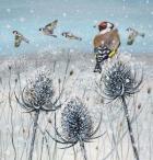 Goldfinches in the Snow