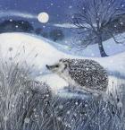 Hedgehog and Moon