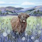 Highland Cow