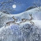 Moon, Snow and Hares