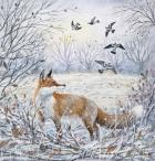 Red Fox and Pigeons