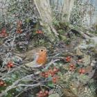 Robin, Frost and Berries