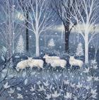 Sheep in Snowy Woodland