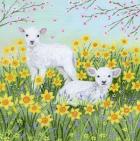 Spring lambs