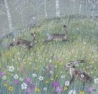 Wildflowers and Hares