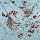 Wrens and Rosehips