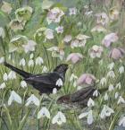 Blackbirds and Spring Flowers