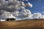 Tuscany III