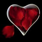 Love Overflowing - Heart Valentine Petals