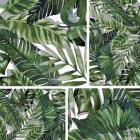 Leaves C