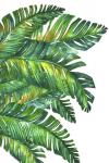 Leaf 2