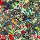 Tropic Fun Vintage 2