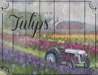 Tractoring Through The Tulips
