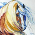 Gypsy Vanner Dream