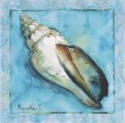 Shell 2
