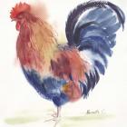 Blue Rooster