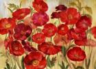 Red Poppies