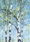 Aspen Tree 2