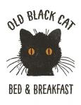 Old Black Cat