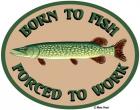 Born To Fish Forced To Work