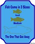Fish Are 3 Sizes