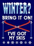 Winter Bring It Skis