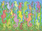 Seahorse Rainbow Dream