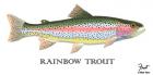 Rainbow Trout