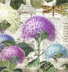 Vintage Hydrangea