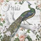 Paris Peacock