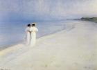 Summer Afternoon On Skagen Beach