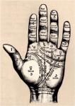 Palmistry