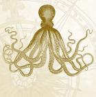 Rose Compass Octopus