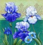 Blue Flowers