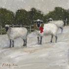 Sheep in Snow