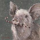 Teri the Christmas Pig