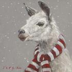 Llama with Red and White Scarf