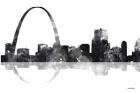 Gateway Arch St Louis Missouri Skyline BG 1