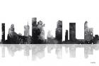 Houston Texas Skyline BG 1