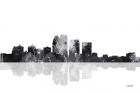 Louisville Kentucky Skyline BG 1