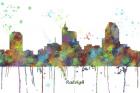 Raleigh North Carolina Skyline Multi Colored 1